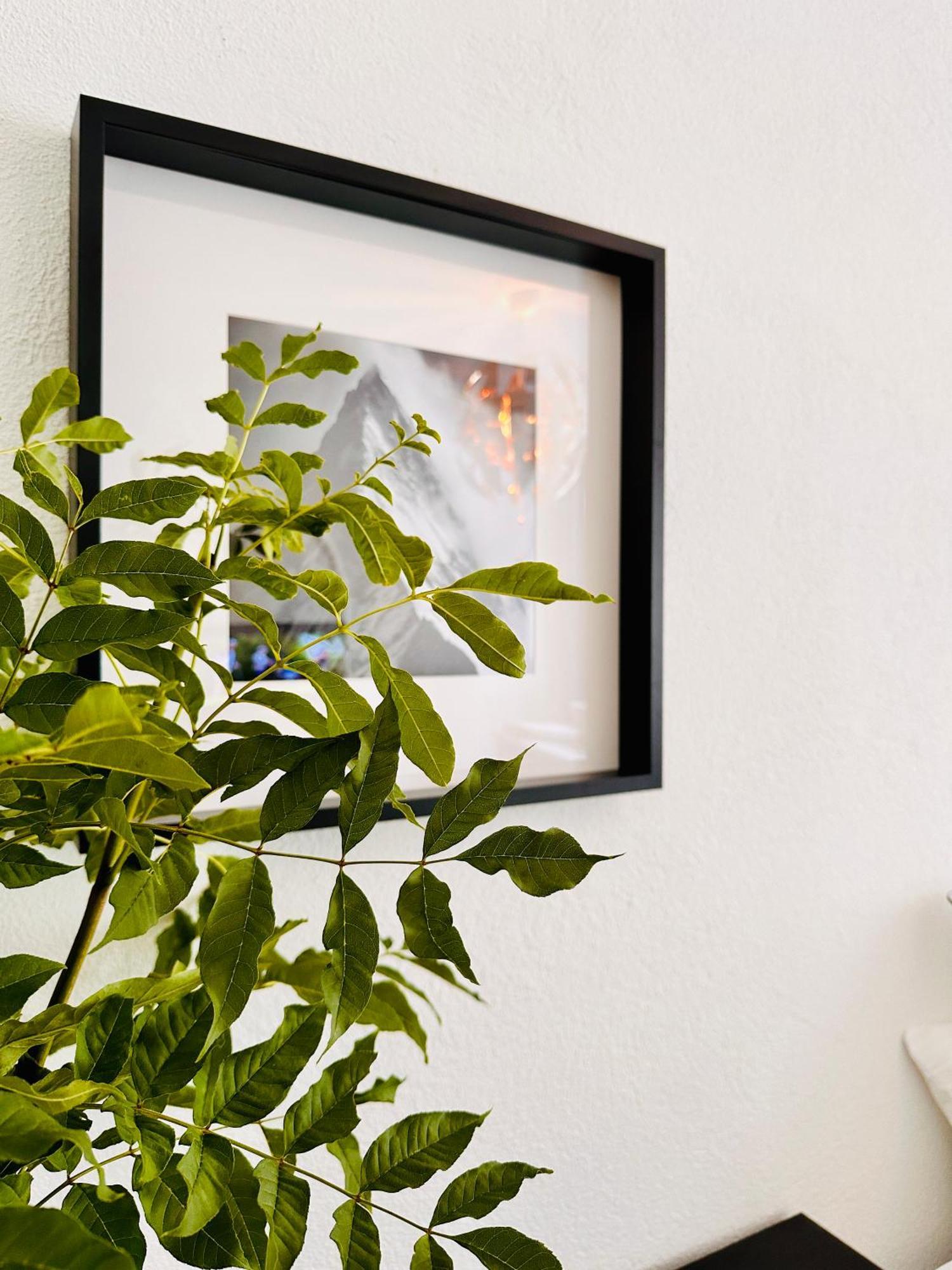 Schoene Ferienwohnung Schottwien Ngoại thất bức ảnh